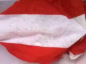 Mildew On Cloth