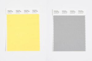 Pantone Color Trends 1