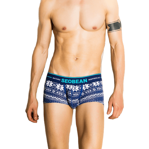 main image removebg preview