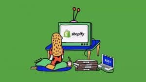 shopify 1.webp
