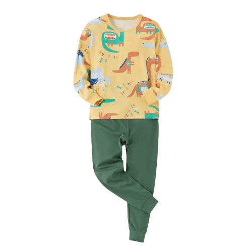 2 piece kid boy 100% cotton animal dinosaur letter print long sleeve tee and solid color pants set