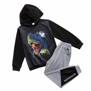 2 piece kid boy animal dinosaur print hoodie and letter print elasticized pants with pocket set
