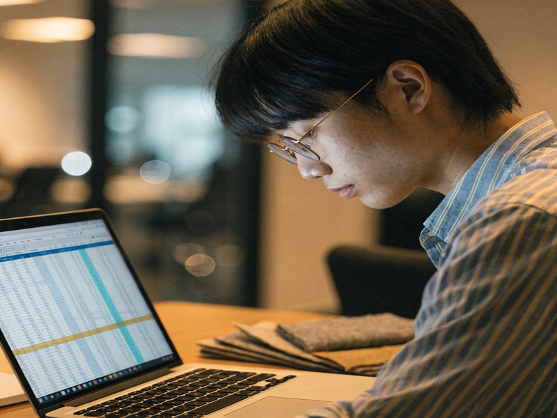 Person looking at budget spreadsheet with fabric samples