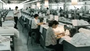 Which Steps Help Online Sellers Ship Zhejiang Apparel for Time-Sensitive Launches?
