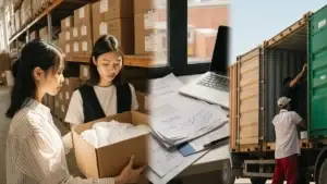 Why Does Ocean Freight Work Well for Importing Custom Wholesale Hoodies to the USA?
